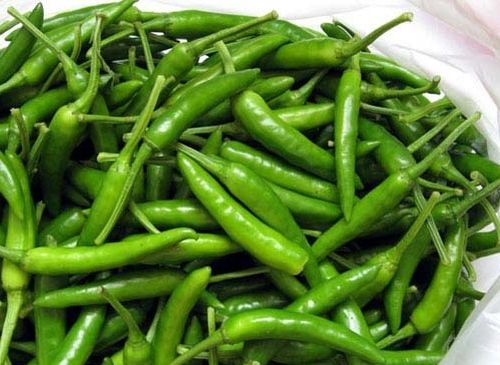 Organic Fresh Indian Green Chilli, Packaging Size : 50-500 kg