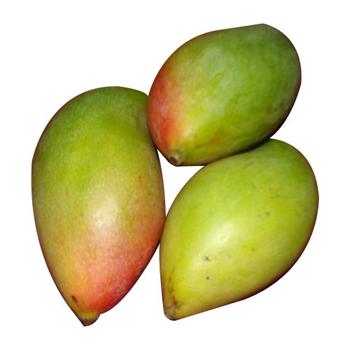 Organic Fresh Rajapuri Mango, Packaging Size : 50-500 kg