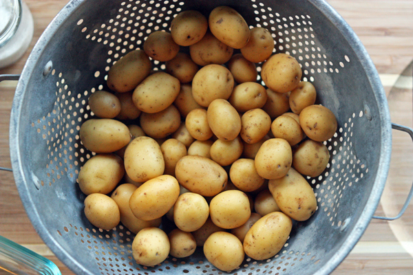 Organic Fresh Small Potato, Packaging Size : 50-500 Kg