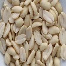 Prem High roasted peanut, for Human Consumption, Color : Natural