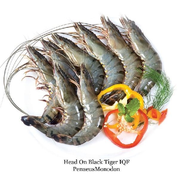 FROZEN AND CHILLED SEAFOOD