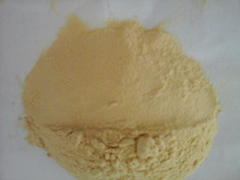 Dehydrated Garlic Powder, Certification : SGS