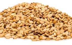 Sesame seed