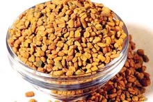 Raw Fenugreek Seeds, Color : Yellow Brown