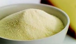 Processed Cheese Powder, Purity : 99%