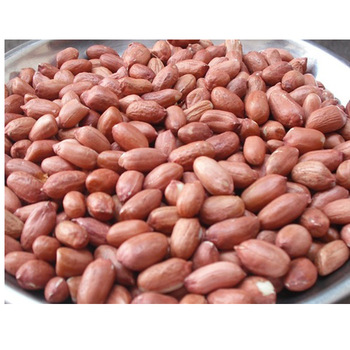 Peanut and Groundnut Without Shell