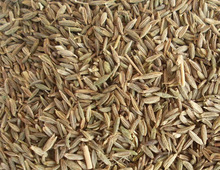 Thakker Overseas High Quality Cumin Seed, Style : Dried
