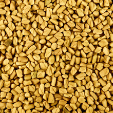 Thakker Overseas Superior Quality Fenugreek seed, Color : Brown, Green