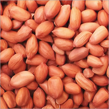 Superior Quality Peanut