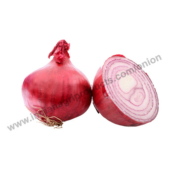 Buyers Choice Round fresh red onion