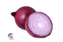 Common Fresh Onions, Color : Red, Yellow White