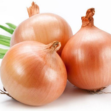  Round Common onion, Style : Fresh