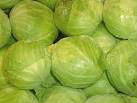 Common Fresh Cabbage, Color : green