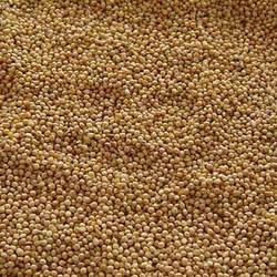 Organic Brown Millet Seeds