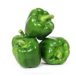 Oval Fresh Green Capsicum, for Cooking, Style : Natural