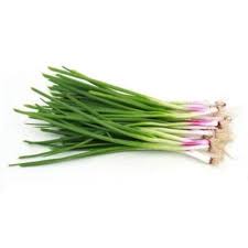 Organic Fresh Spring Onion, for Human Consumption, Style : Natural