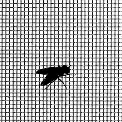 Circular Aluminum Mosquito Proof Screens, for Door, Window, Feature : Good Strength