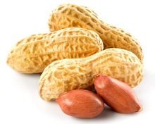 Peanut Kernel