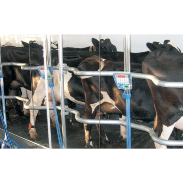 Herringbone Milking Parlor Manufacturer in Delhi India by EMTEX MARKETING P.LTD. | ID - 4880330