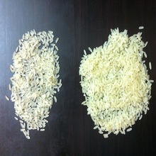 Aastha Hard Aromatic Rice, Certification : APEDA