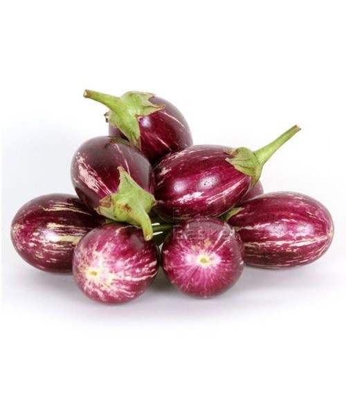 Organic Brinjal, Packaging Type : Plastic Pouch, Vaccum Pack