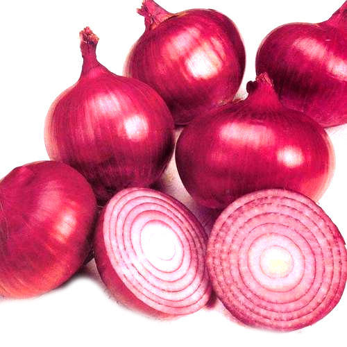 Organic Onion, for Cooking, Packaging Size : 10kg, 25kg, etc