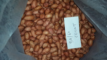 Organic ground nut, Packaging Type : 50 KG BAG