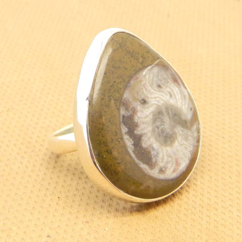 Ammonite Fossil 925 Sterling Silver Bezel Ring