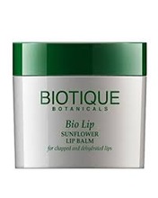 BIOTIQUE Bio Sunflower Lip Balm, Certification : FDA