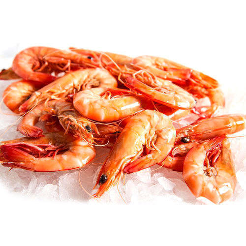 Fresh Prawns, Feature : High In Protein