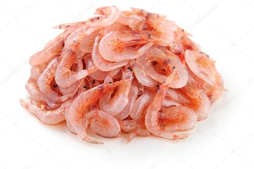 Sakura Prawn