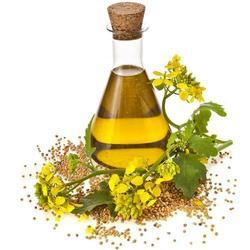 Dill Seed Oil, for vaporisation, cosmetic, medical