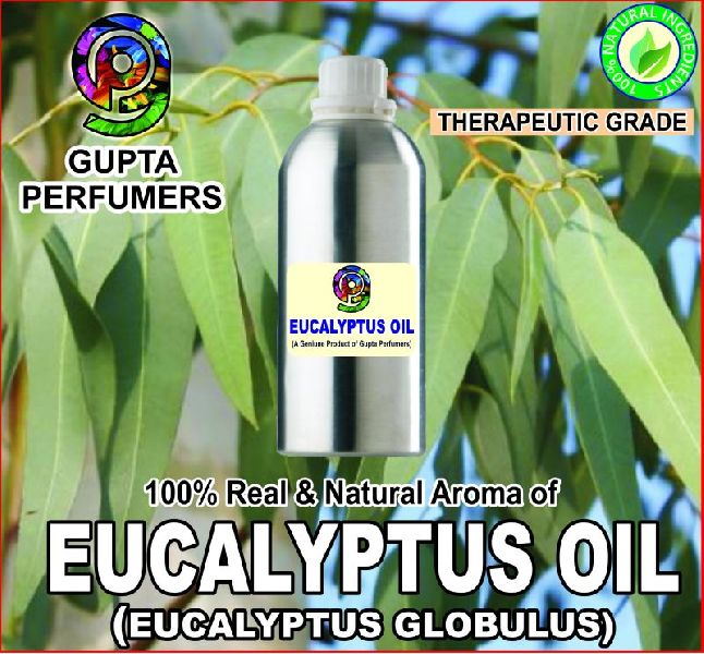 Eucalyptus Essential Oil, for Infections, Stomach Issue, Feature : Aid Wound Care, Freshness