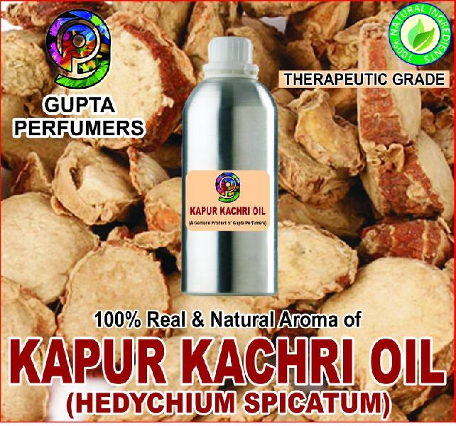 Kapoor Kachri Essential Oil, Purity : 99%