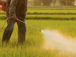 Agricultural Insecticides, for Agriculture