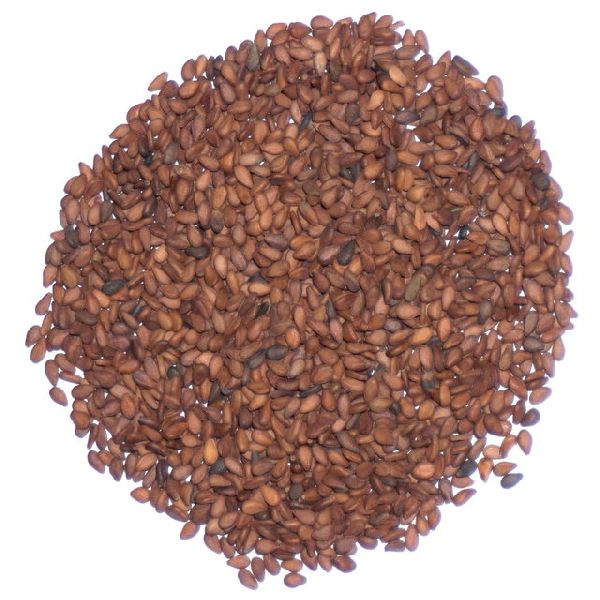 Common sesame seeds, Purity : 99%