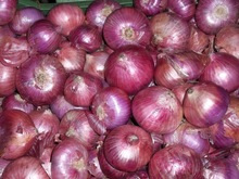 Fresh red onion, Certification : APEDA, ISO