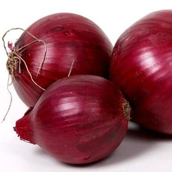  Common fresh onion, Certification : APEDA