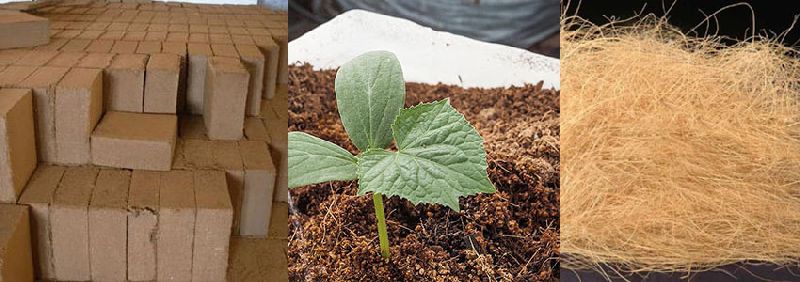 Coir Pith Block