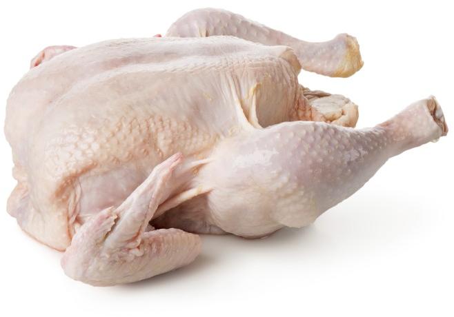 Frozen Chicken Meat