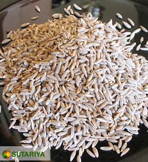 Cumin Seed- IPM