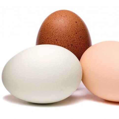 Chicken Egg, For Bakery, Cooking, Packaging Type : Poultry Trays