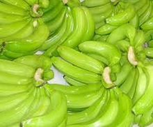 Cavendish banana Premium, Certification : Apeda, Phytosanitary