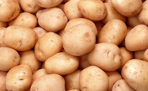 Organic Fresh Chipsona Potato, for Cooking, Feature : Early Maturing, Mild Flavor