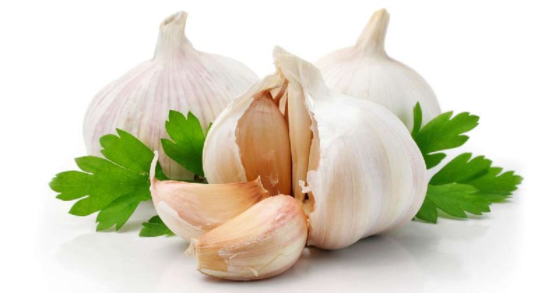 Organic Natural Garlic, Color : White