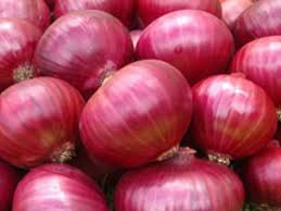 Organic Onion, for Human Consumption, Packaging Type : Plastic Bags