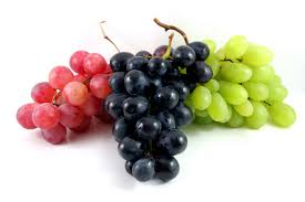 Organic fresh grapes, Shelf Life : 5-7days