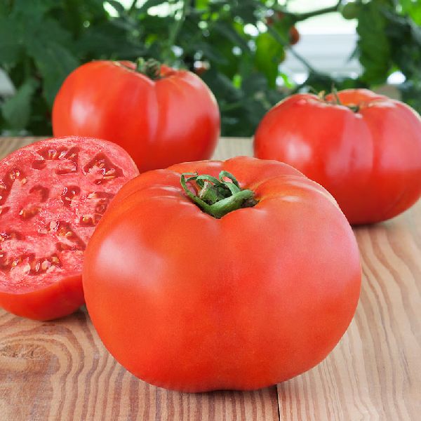 Organic fresh tomato, Shelf Life : 3-7days