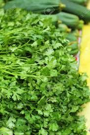 Organic Fresh Coriander, for Cooking, Color : Green