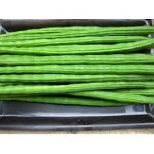 Organic Fresh Drumstick, for Cooking, Color : Green